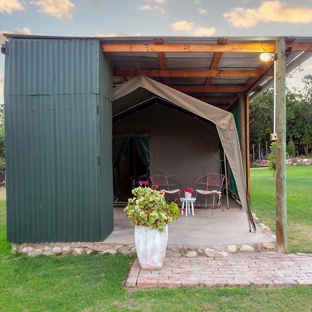 Schoemanshoek Glamping Oudtshoorn Exteriör bild