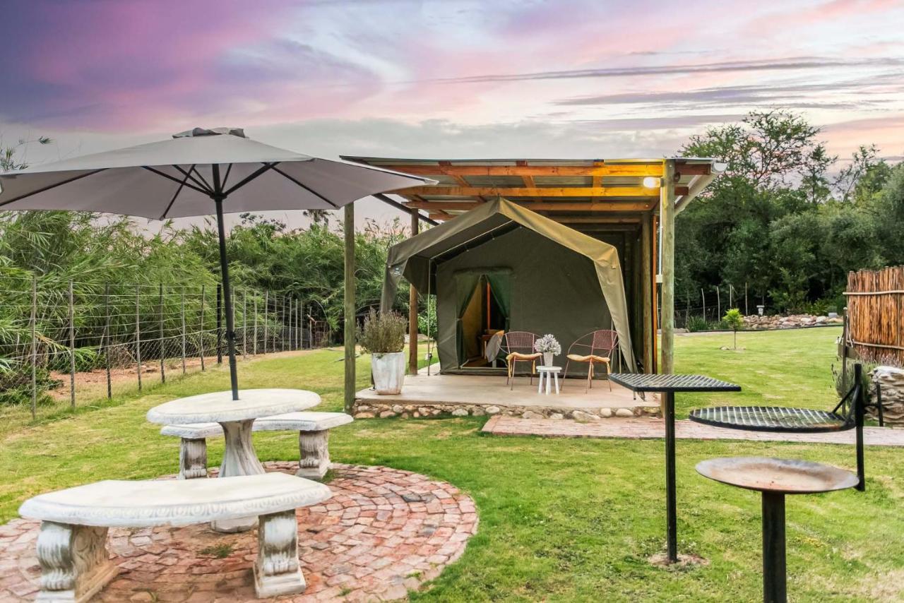 Schoemanshoek Glamping Oudtshoorn Exteriör bild