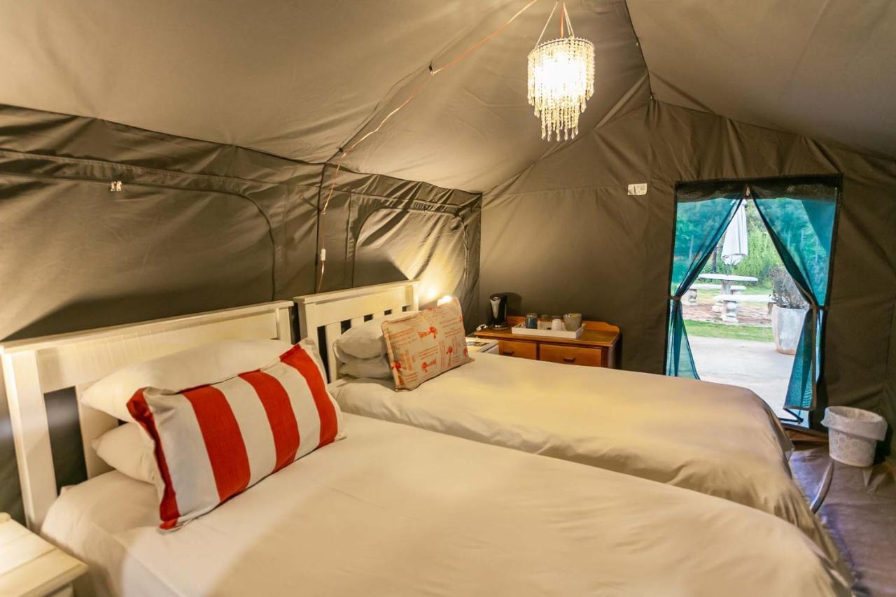 Schoemanshoek Glamping Oudtshoorn Exteriör bild