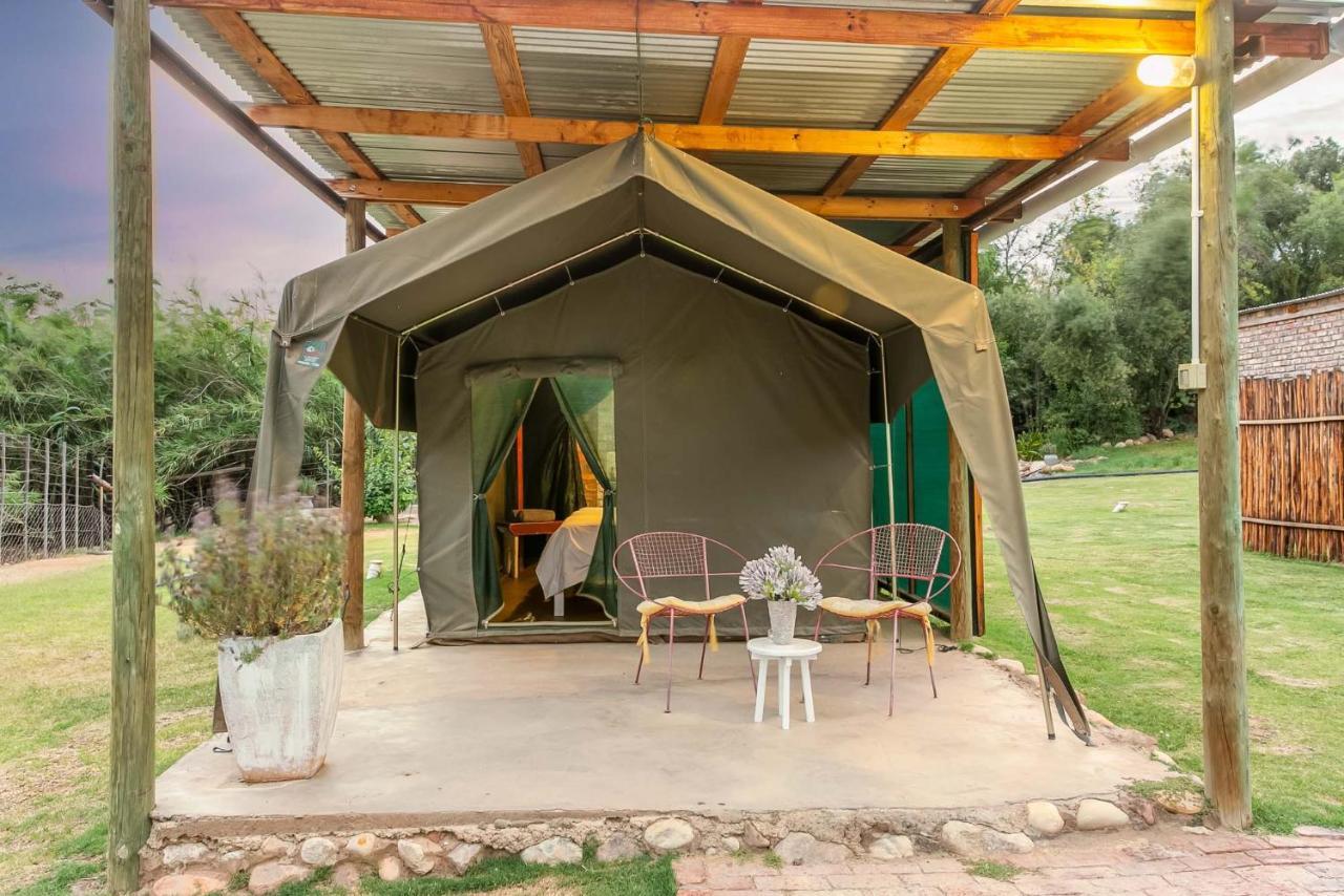 Schoemanshoek Glamping Oudtshoorn Exteriör bild