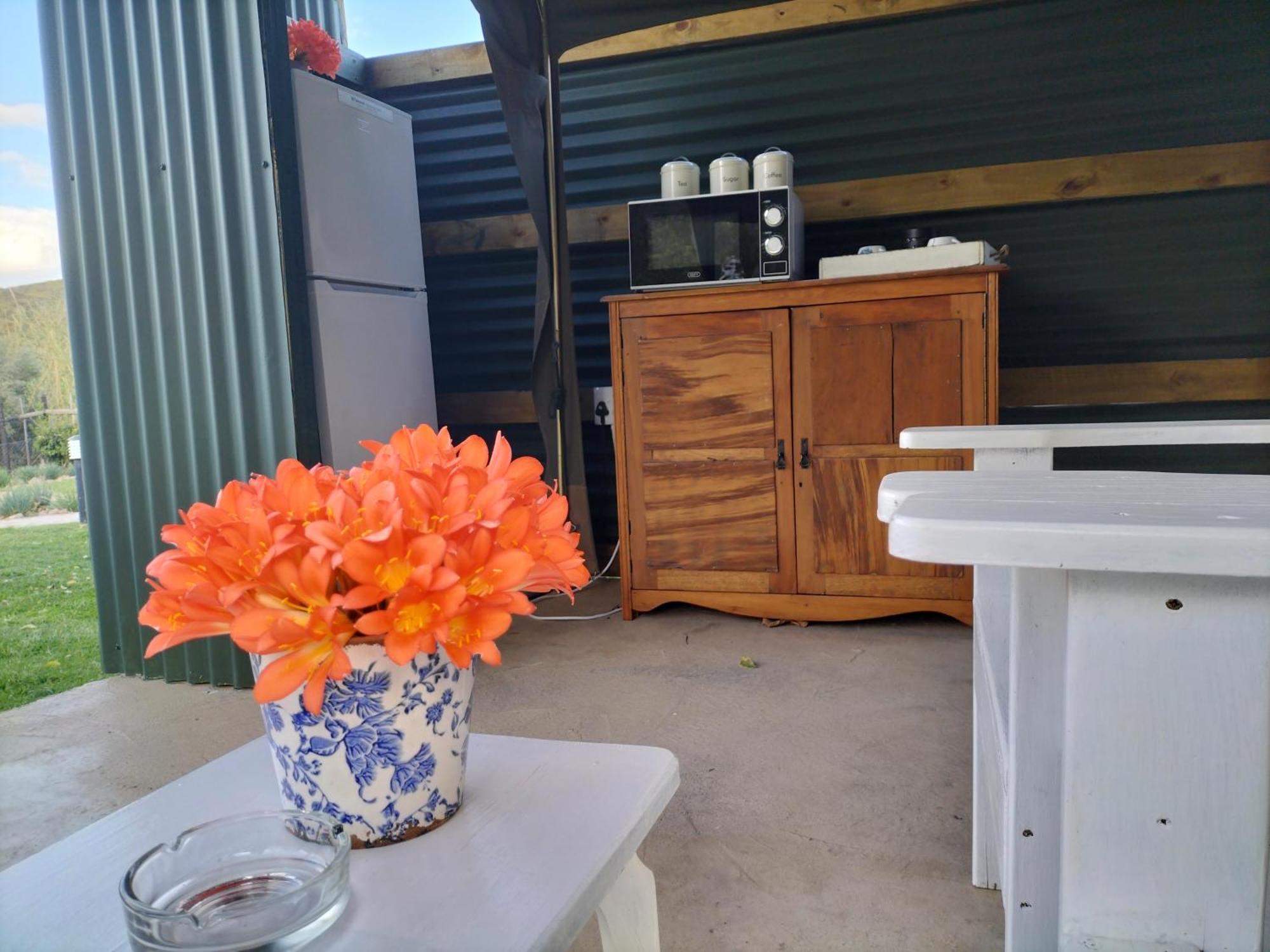 Schoemanshoek Glamping Oudtshoorn Exteriör bild