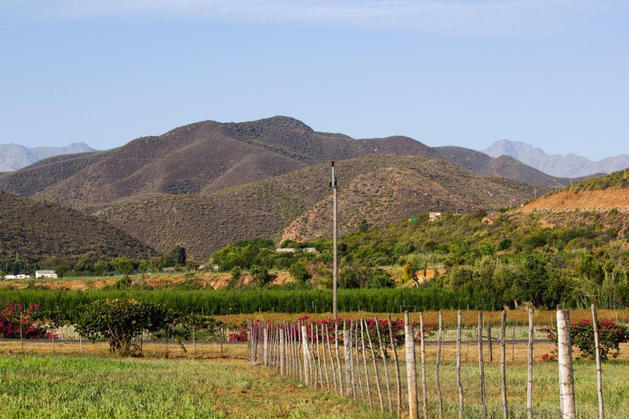 Schoemanshoek Glamping Oudtshoorn Exteriör bild